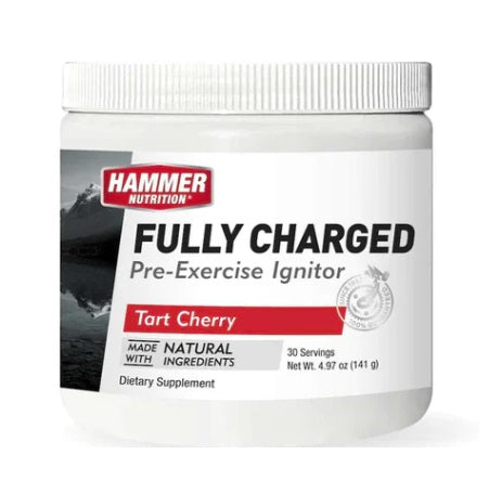 Iniciador Pre Ejercicio Hammer Fully Charged Sticks (24 servicios)