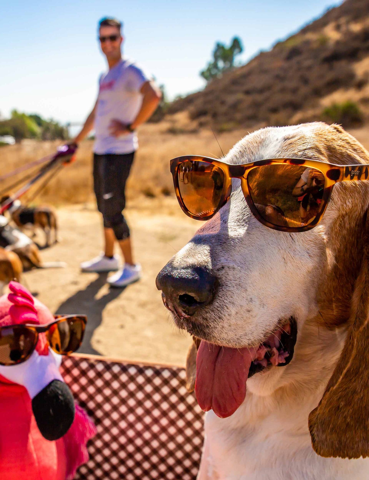 GOODR Lentes de running Bosley's Basset Hound Dreams